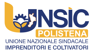 UNSIC Polistena